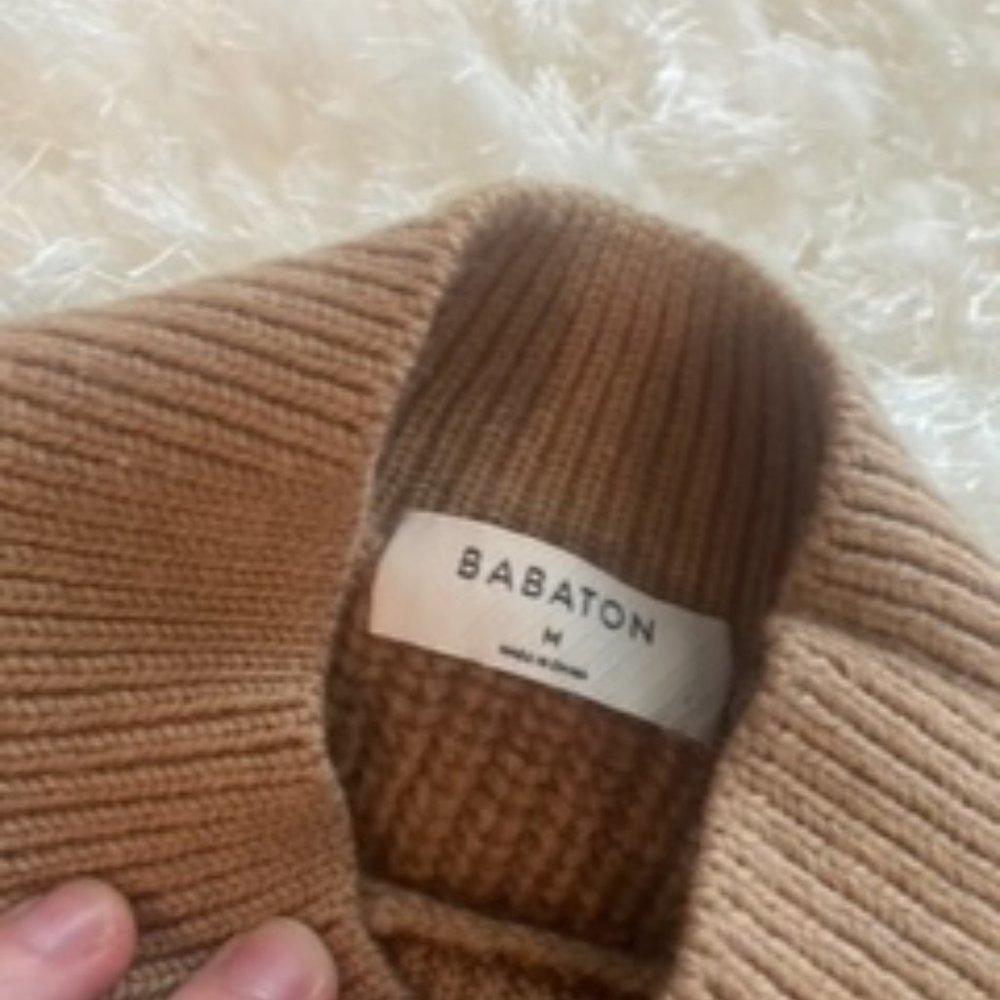 Babaton Aritzia Cyrus Sweater